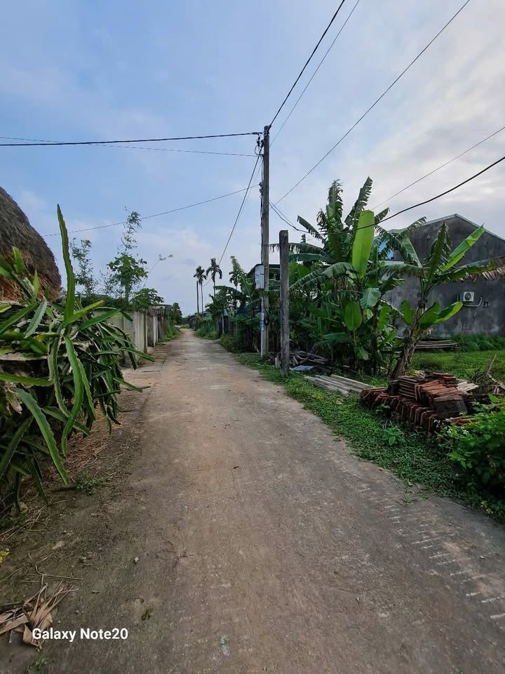 Đất nền Bình Thanh 300m² giá chỉ 400 triệu - Đường ô tô thông thoáng