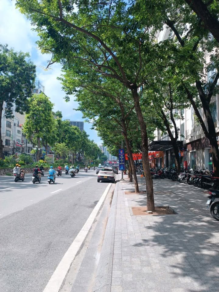 Sàn văn phòng cho thuê tại Tòa D2 Giảng Võ 120m² giá 47,7 triệu - Vị trí đắc địa trung tâm!