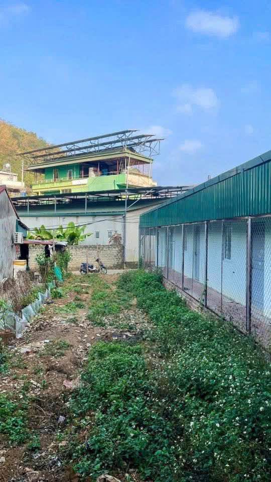 Đất nền Quyết Thắng, Sơn La 155m² giá 675 triệu - Ô tô đỗ cửa, hướng Tây Bắc!