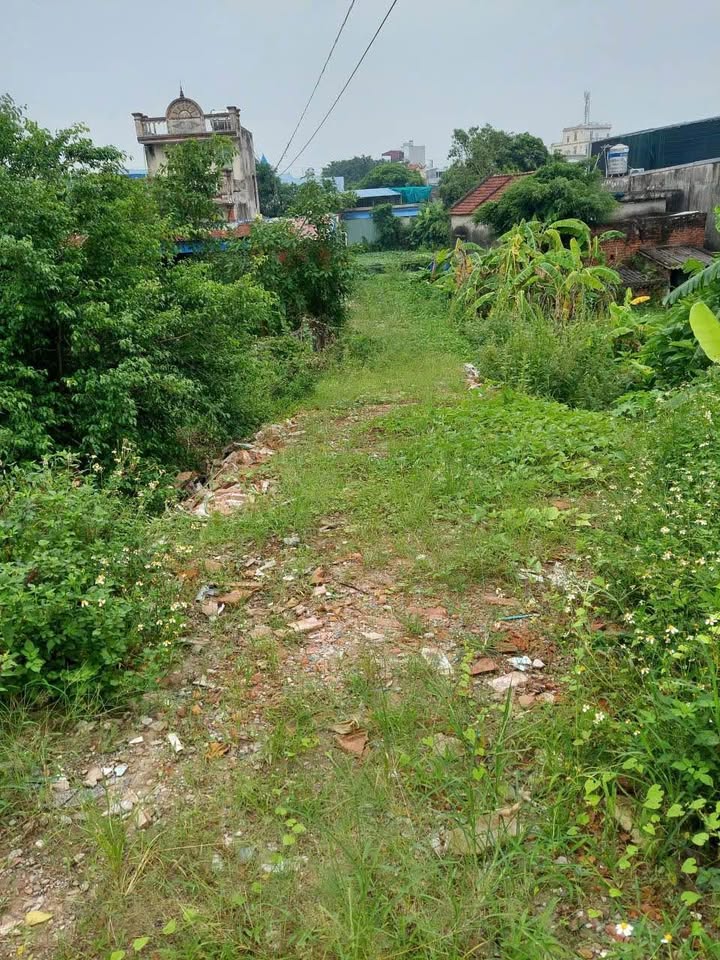 Đất kho xưởng phường Cửa Nam 500m² giá chỉ 6.5 tỷ - Cơ hội đầu tư tốt!