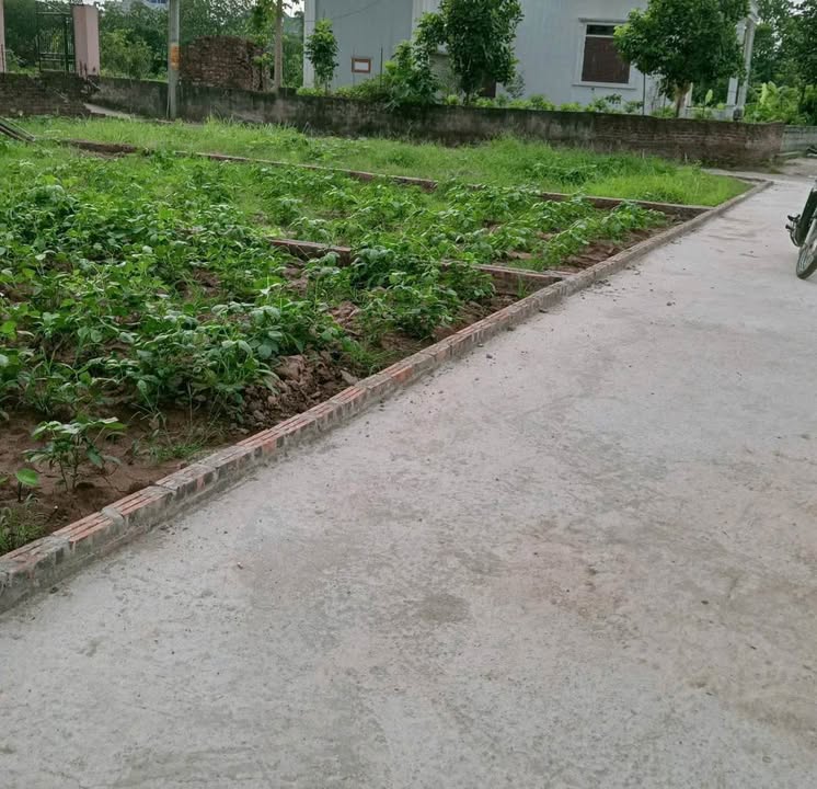 Đất Xâm Xuyên, Hồng Vân 61m² giá 2.85 tỷ - Mặt tiền nở hậu hút tài lộc!