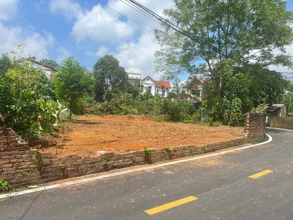 Đất thổ cư 133.5m² tại Thanh Đình, Việt Trì chỉ 1 tỷ - Vị trí đắc địa gần trung tâm!