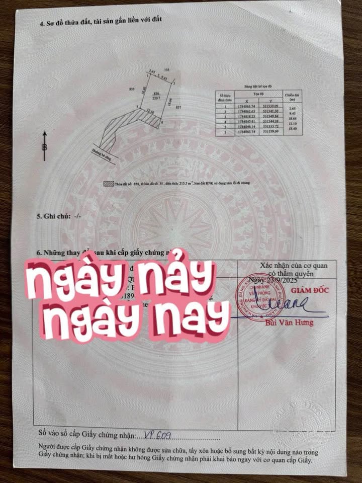 Đất vườn Hòa Bắc, Liên Chiểu 220m² - Chính chủ bán gấp, không ngập lụt!