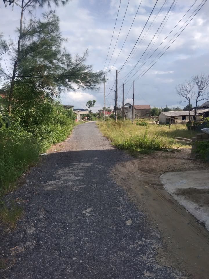 Đất biển Tân Hải, Gio Hải 182m² giá chỉ từ 600 triệu - Cách biển 90m!