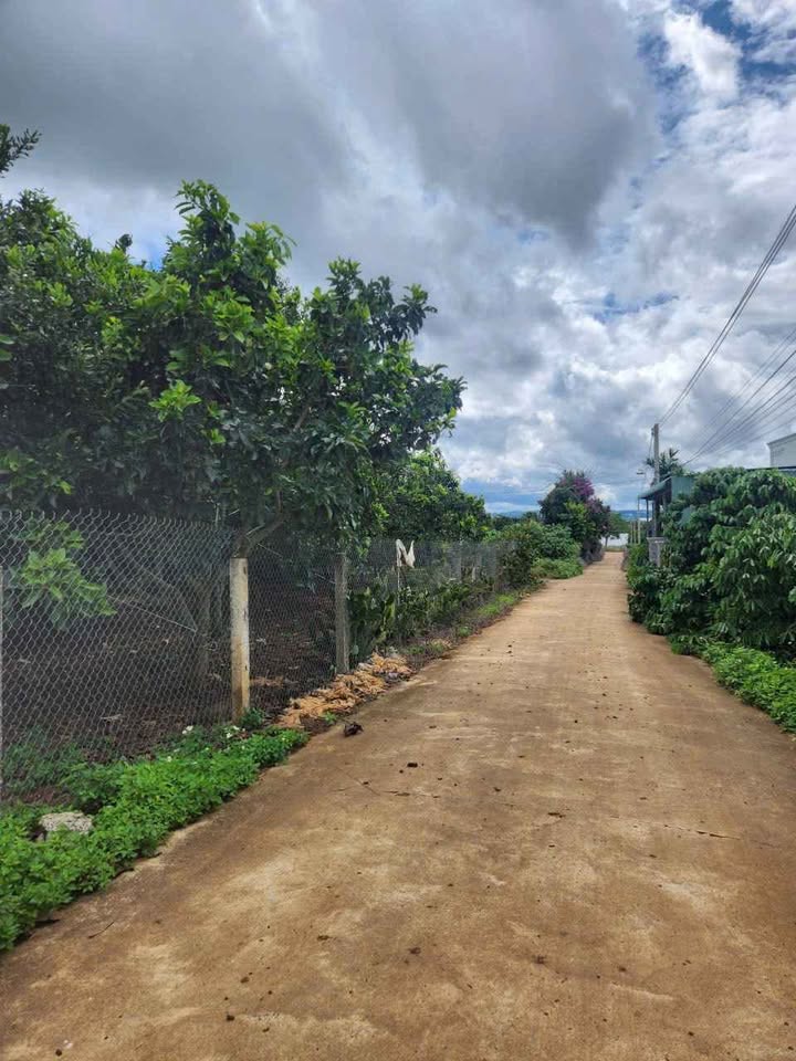 Đất nền Tân Hội Đức Trọng 2400m² giá 3.5 tỷ - Sổ đỏ đầy đủ, thương lượng!