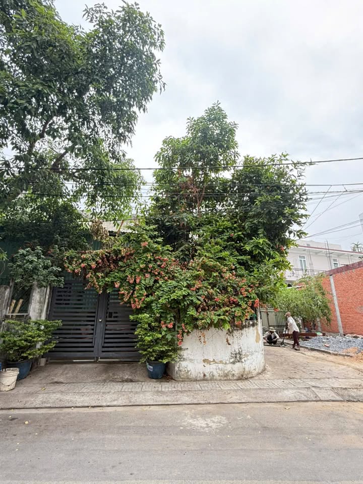 Đất mặt tiền đường Số 8, phường Linh Đông, 50.5m², giá 4.1 tỷ - Đầu tư sinh lời hấp dẫn!