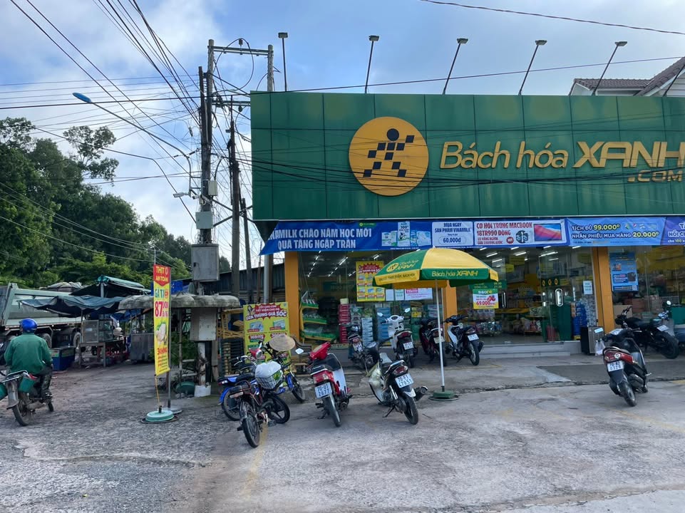 Đất thổ cư 117,8m² tại Ấp Rộc A, Gò Dầu chỉ 290 triệu - Đường ô tô thông thoáng!