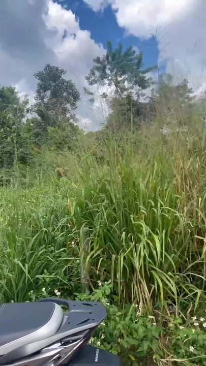 Đất nền Bàu Trâm, Long Khánh 105m² giá 1.25 tỷ - Sổ đỏ chính chủ, vị trí đẹp!