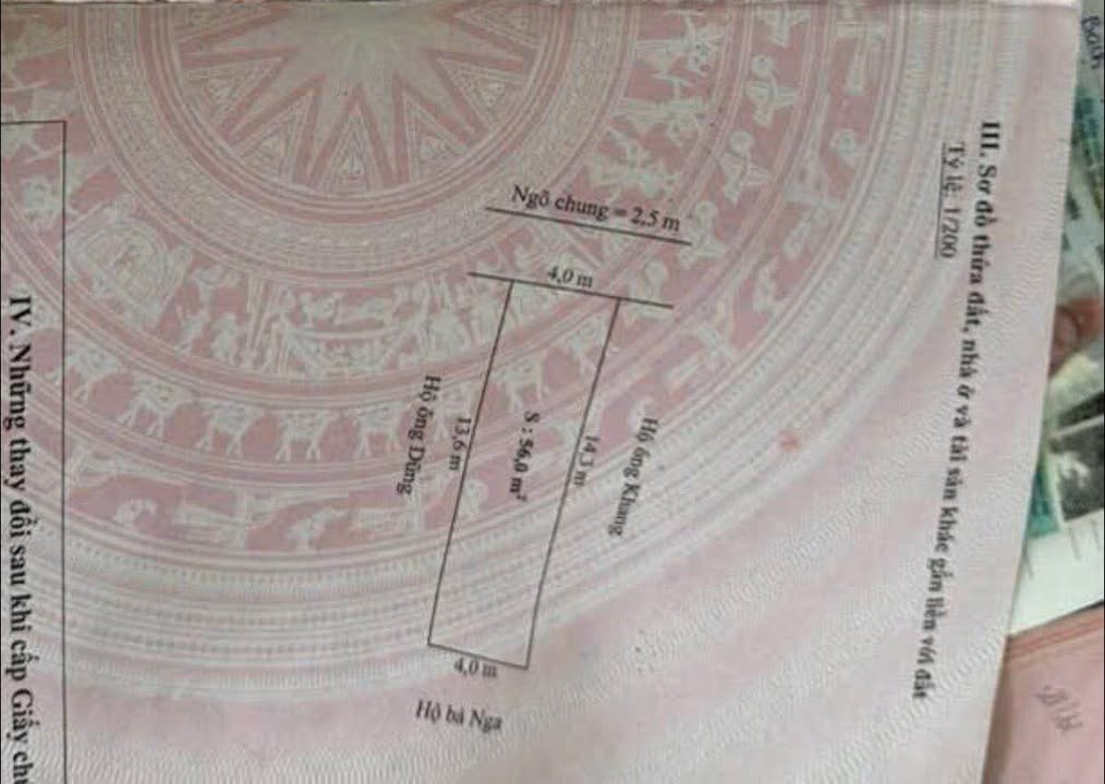 Đất liền kề Kiến Phong, Đồng Thái, An Dương 56m² giá 1.3 tỷ - Đường ô tô vào tận nơi!