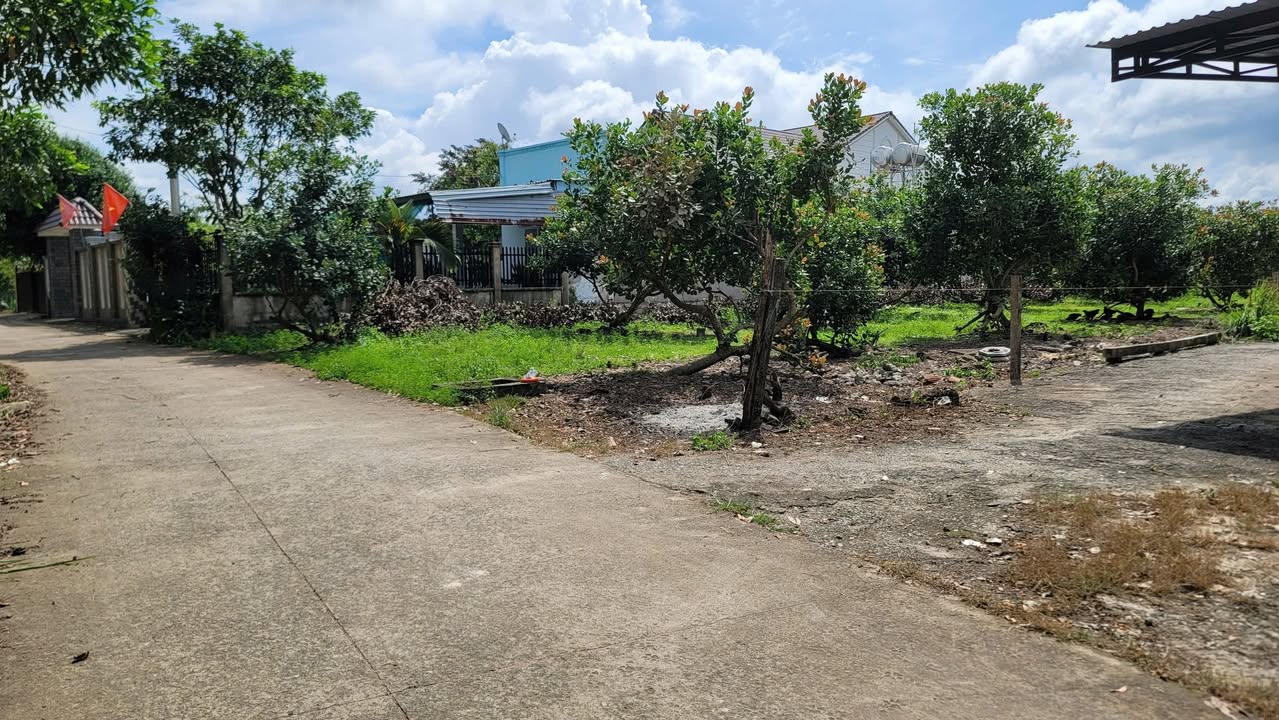 Đất thổ cư Khu phố 5 Hắc Dịch 400m² giá 2.15 tỷ - Đầu tư sinh lời ngay!