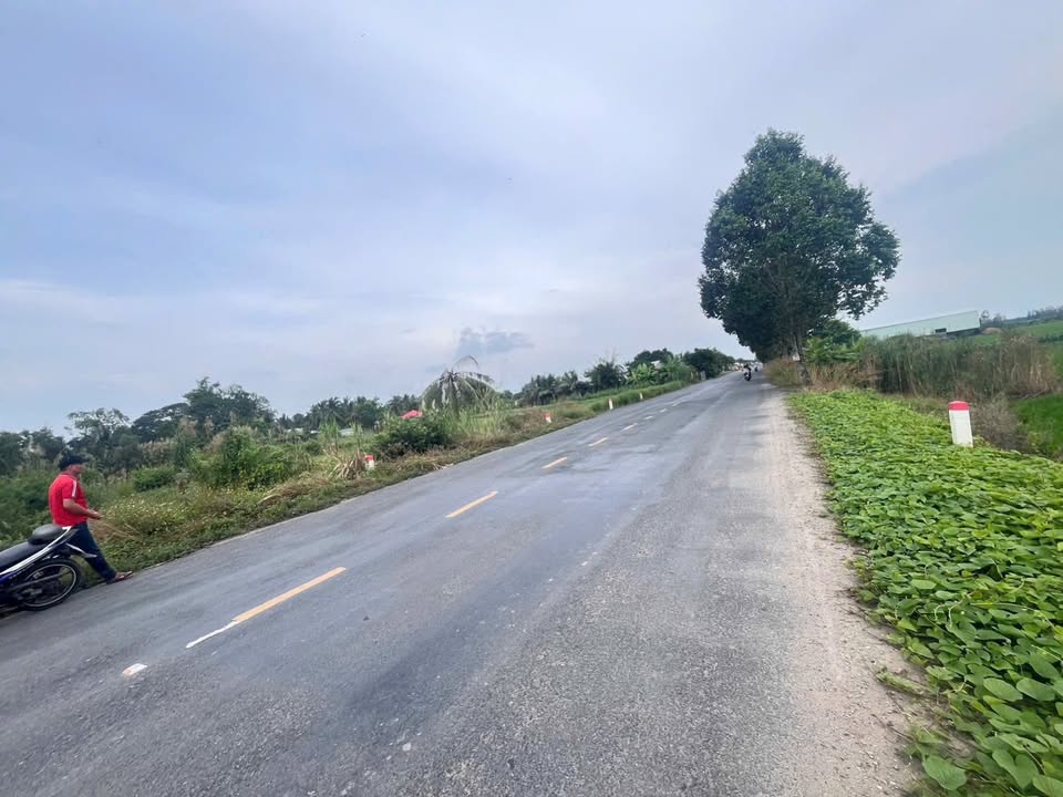 Đất nền Trường Xuân Thới Lai 1950m² giá 4.05 tỷ - Đầu tư sinh lời ngay!