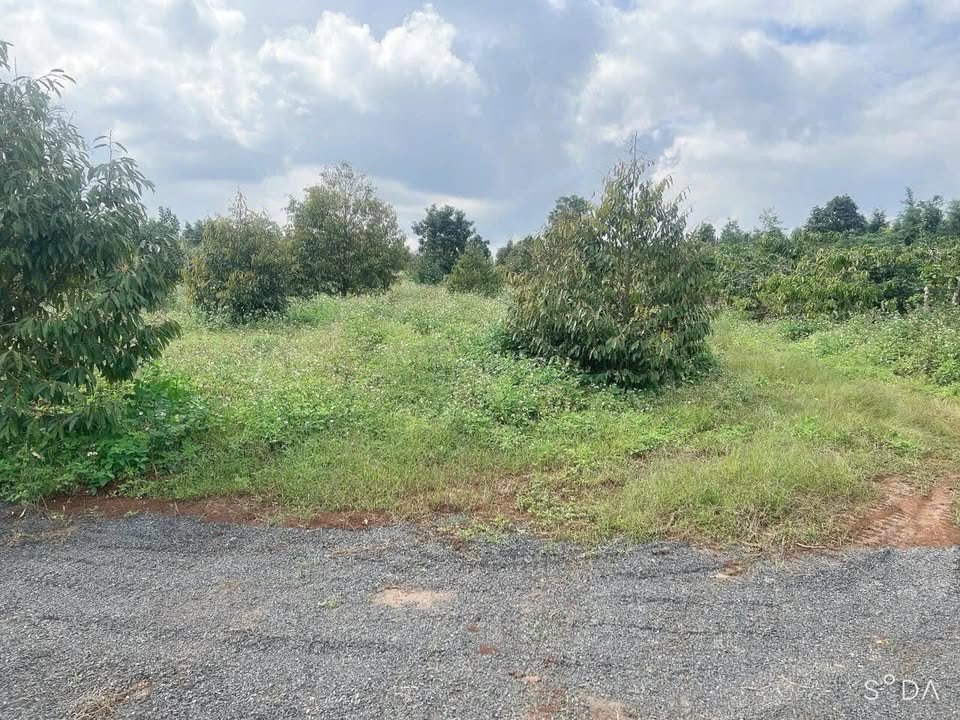 Đất thổ cư xã Krông Năng 577m² giá chỉ 199 triệu - Cơ hội đầu tư tuyệt vời!