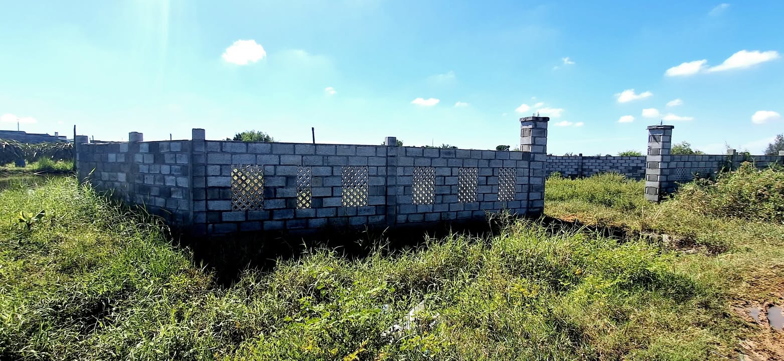 Đất nông nghiệp 350m² thôn 5 Hàm Liêm - Gần đường nhựa, giá tốt!