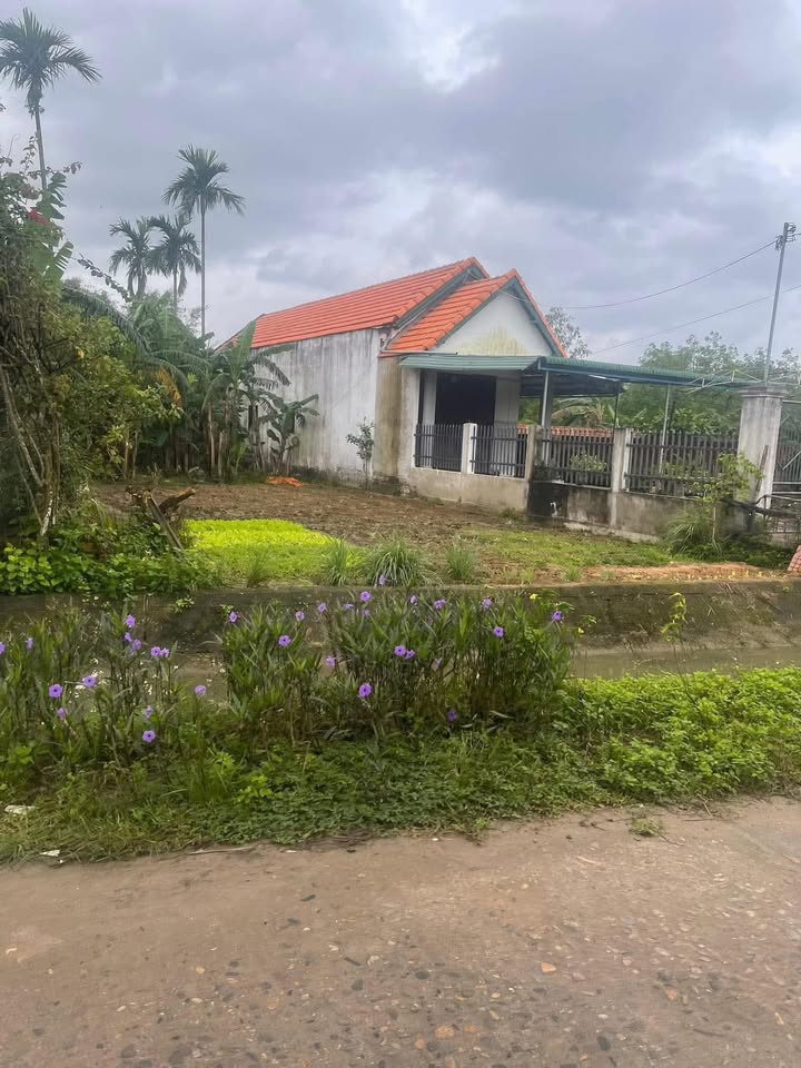 Đất mặt tiền Đặng Thùy Trâm, Tư Nghĩa 131m² giá 820 triệu - Cơ hội đầu tư tuyệt vời!