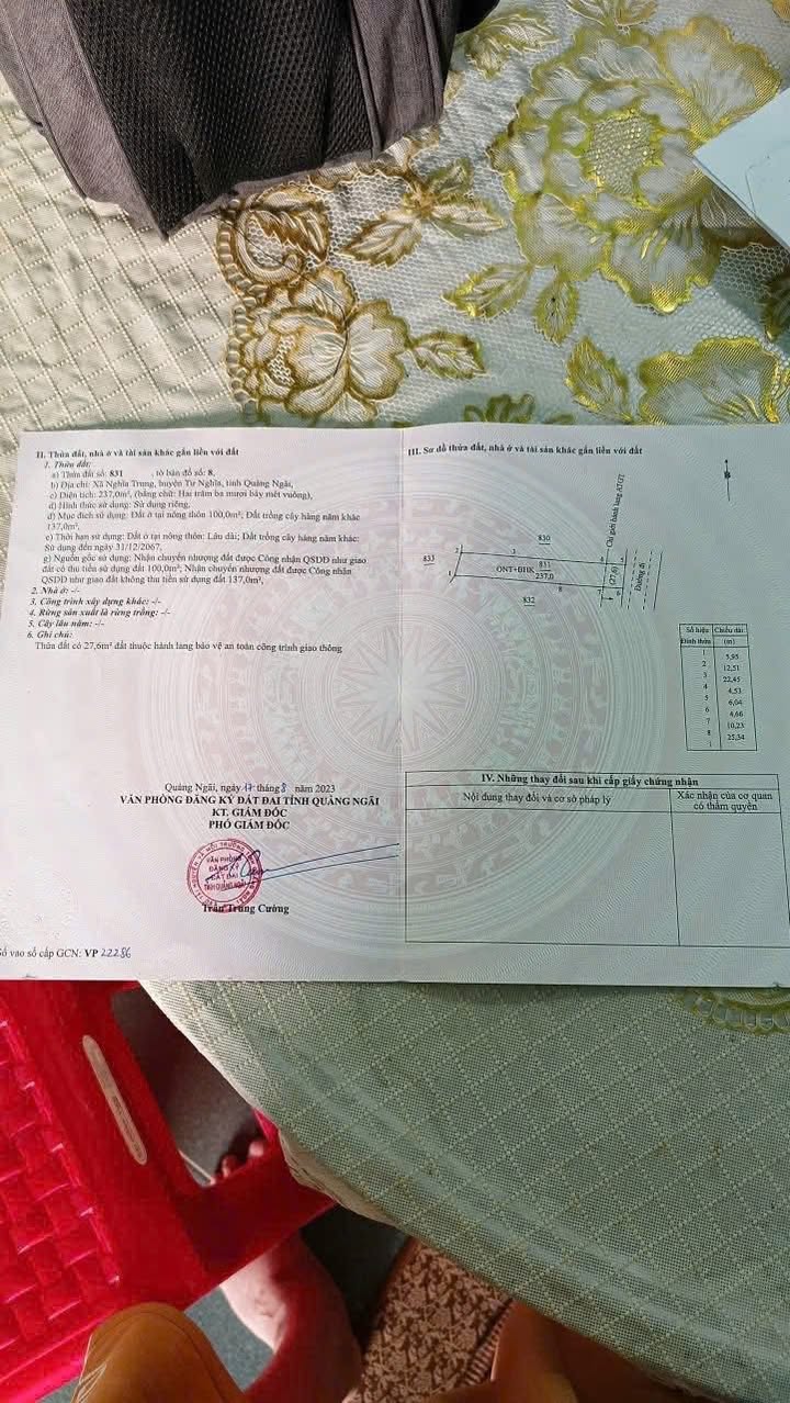 Bán nhà cấp 4 mặt tiền đường Tân Hội - 237m² chỉ 800 triệu - Cơ hội đầu tư tuyệt vời!