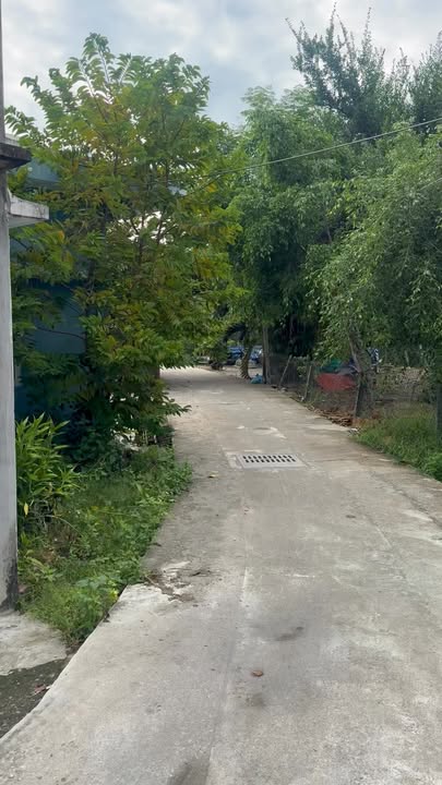 Đất nền phường Tân Thạnh, Tam Kỳ 120m² giá 1.4 tỷ - Hướng Tây, ô tô tới đất!