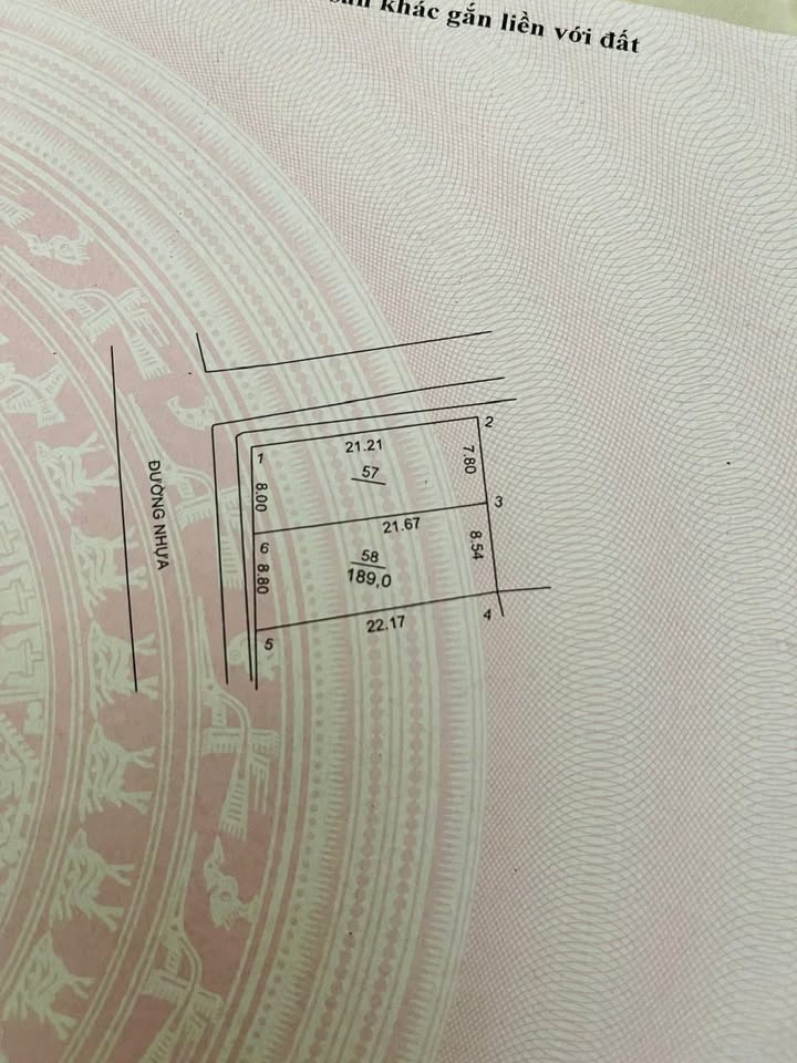 Đất nền Quang Tiến, Sóc Sơn 189m² giá thỏa thuận - Đường rộng ô tô tránh nhau thoải mái!