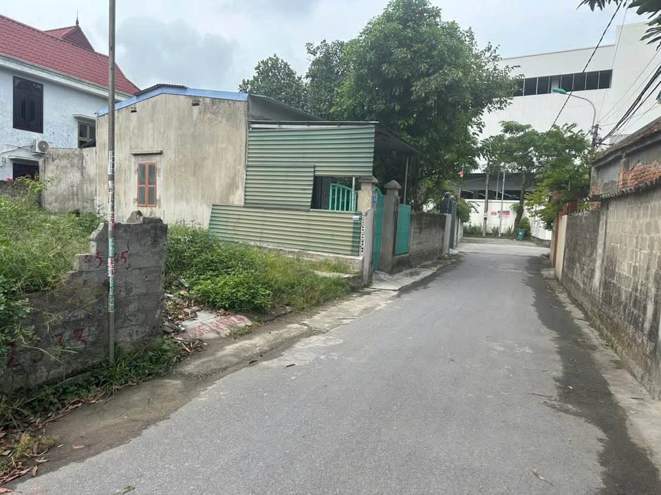 Đất nền Lương Quán, Nam Sơn, An Dương 61m² giá 1.7 tỷ - Đầu tư sinh lời ngay!