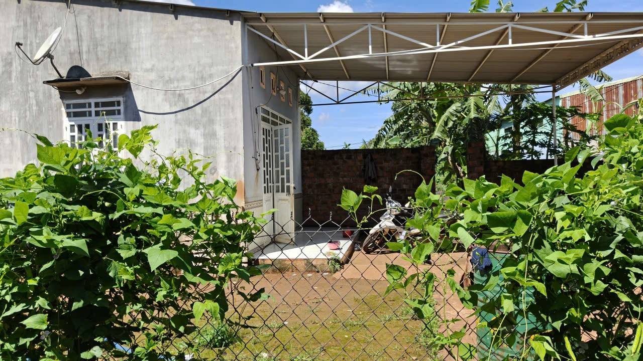 Đất nền Lê Đại Hành, Pleiku 180m² giá chỉ 1 tỷ - Tiềm năng sinh lời cao!