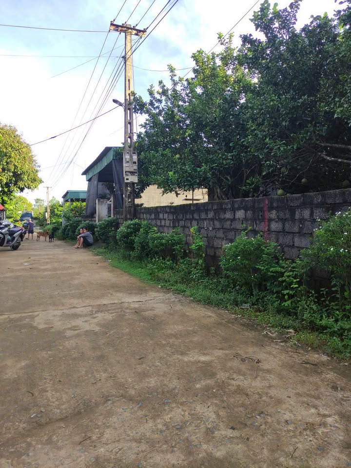 Đất thổ cư 320m² xã Thanh Hối - Tiềm năng kinh doanh hấp dẫn!