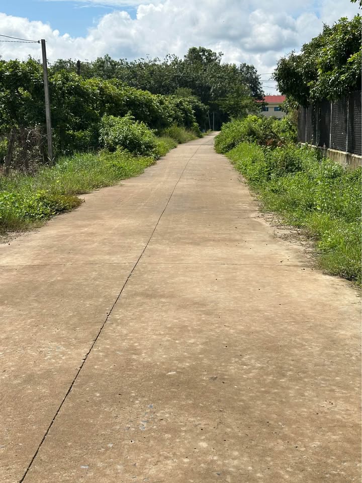 Đất nền Dương Minh Châu 470m² giá 900 triệu - Bán nhanh, pháp lý rõ ràng!