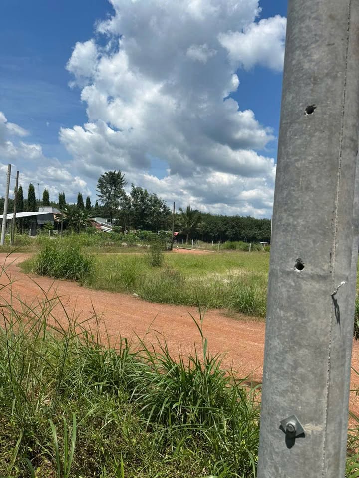 Đất nền 200m² tại ấp Quân Y, xã Tân Lợi, huyện Đồng Phú - Giá chỉ 390 triệu!