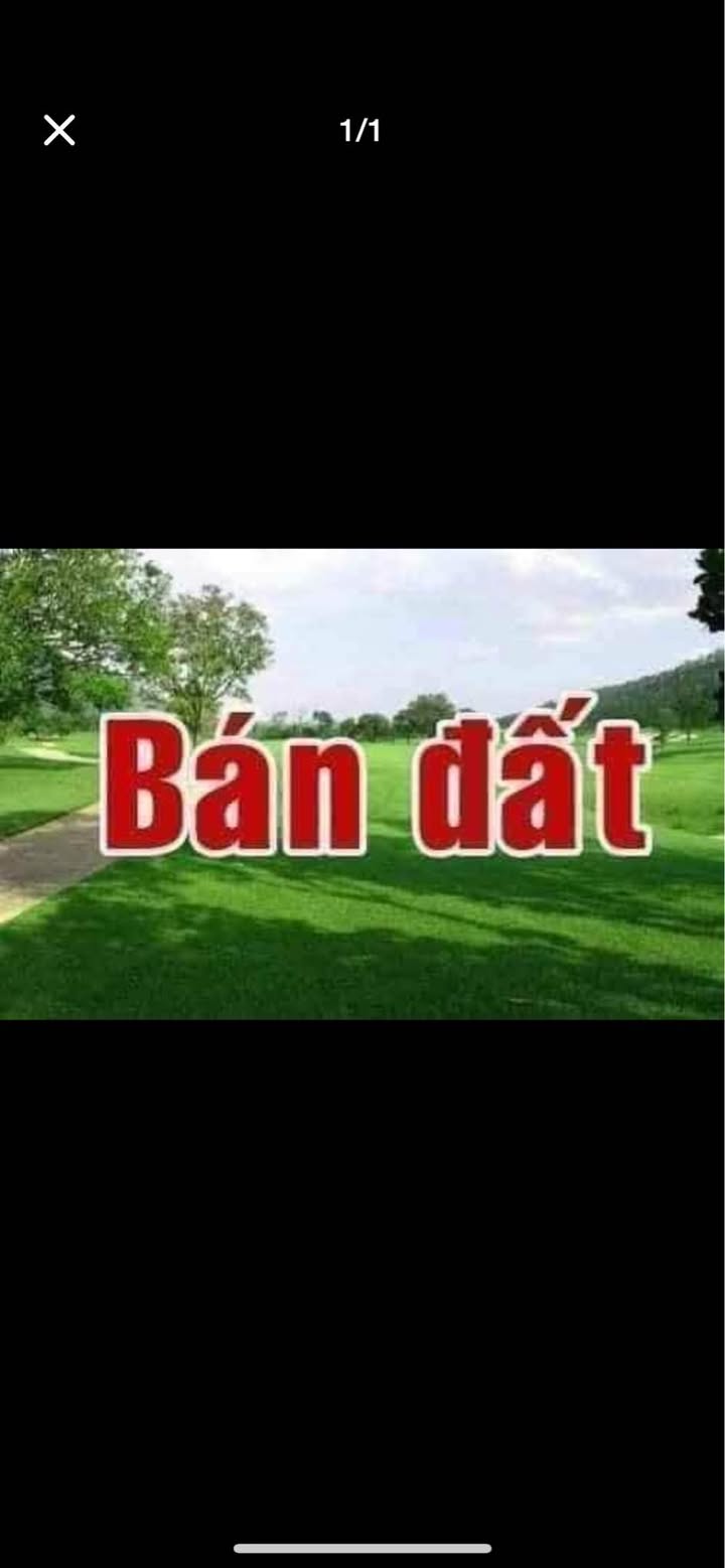 Đất mặt tiền đường Trần Huy Liệu 300m² giá 7.5 tỷ - Sổ đỏ chính chủ!