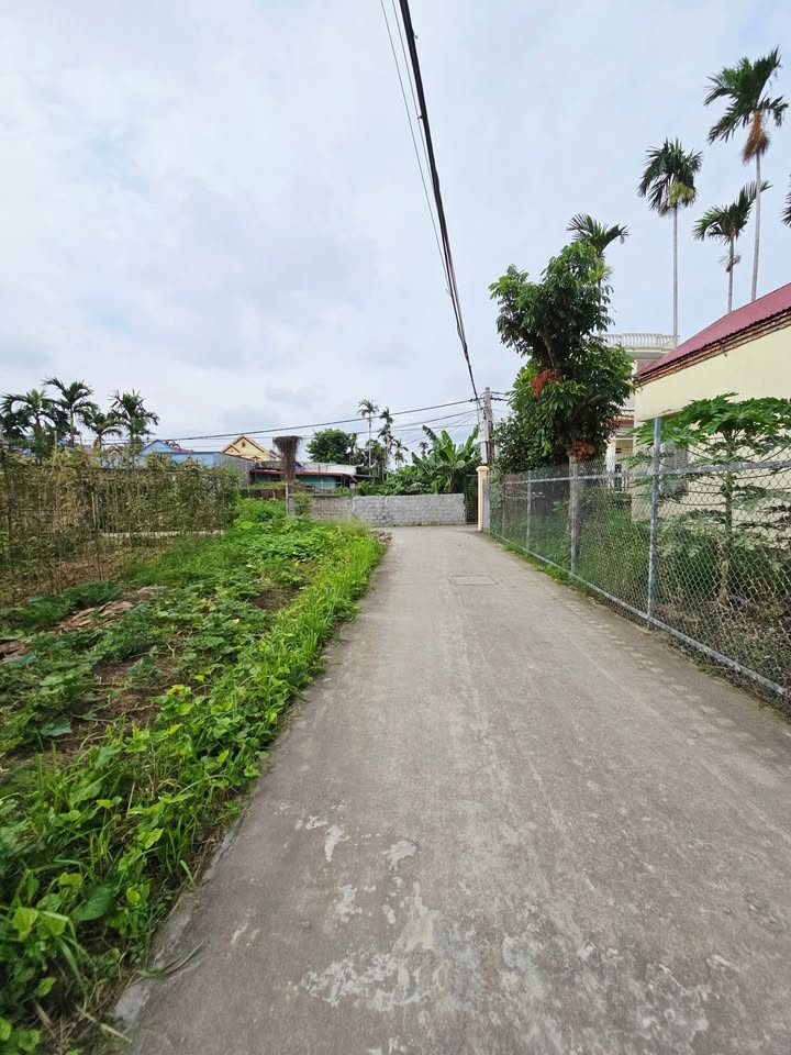 Đất thổ cư Hồng Thái An Dương 54m² giá 1.1 tỷ - Đầu tư sinh lời ngay!