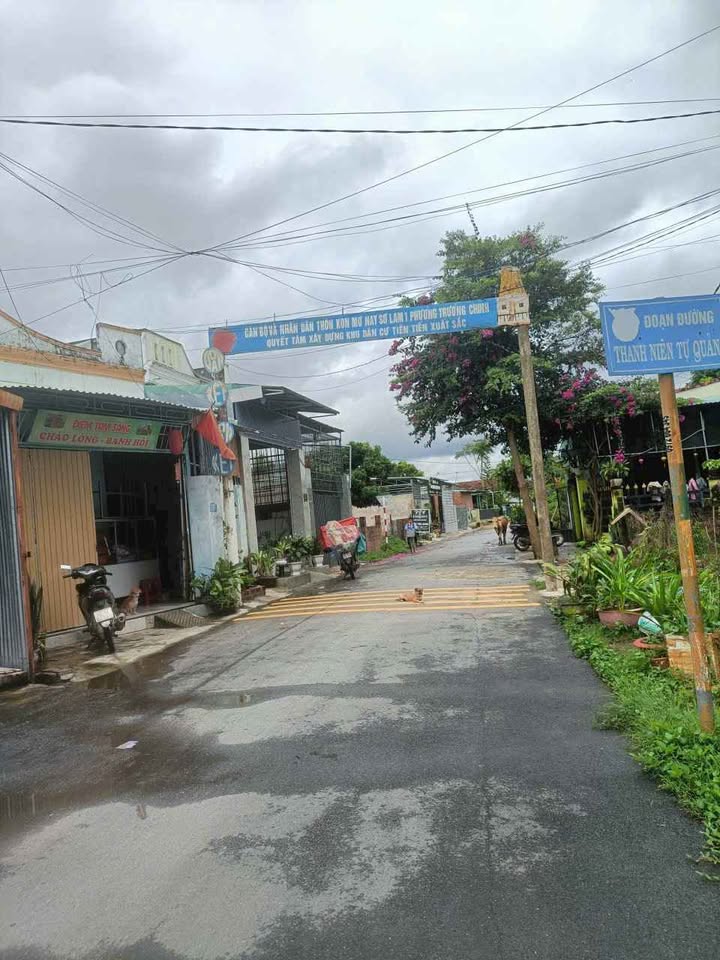 Đất nền Đoàn Khuê, Trường Chinh 103m² giá 800 triệu - Đầu tư thông minh!