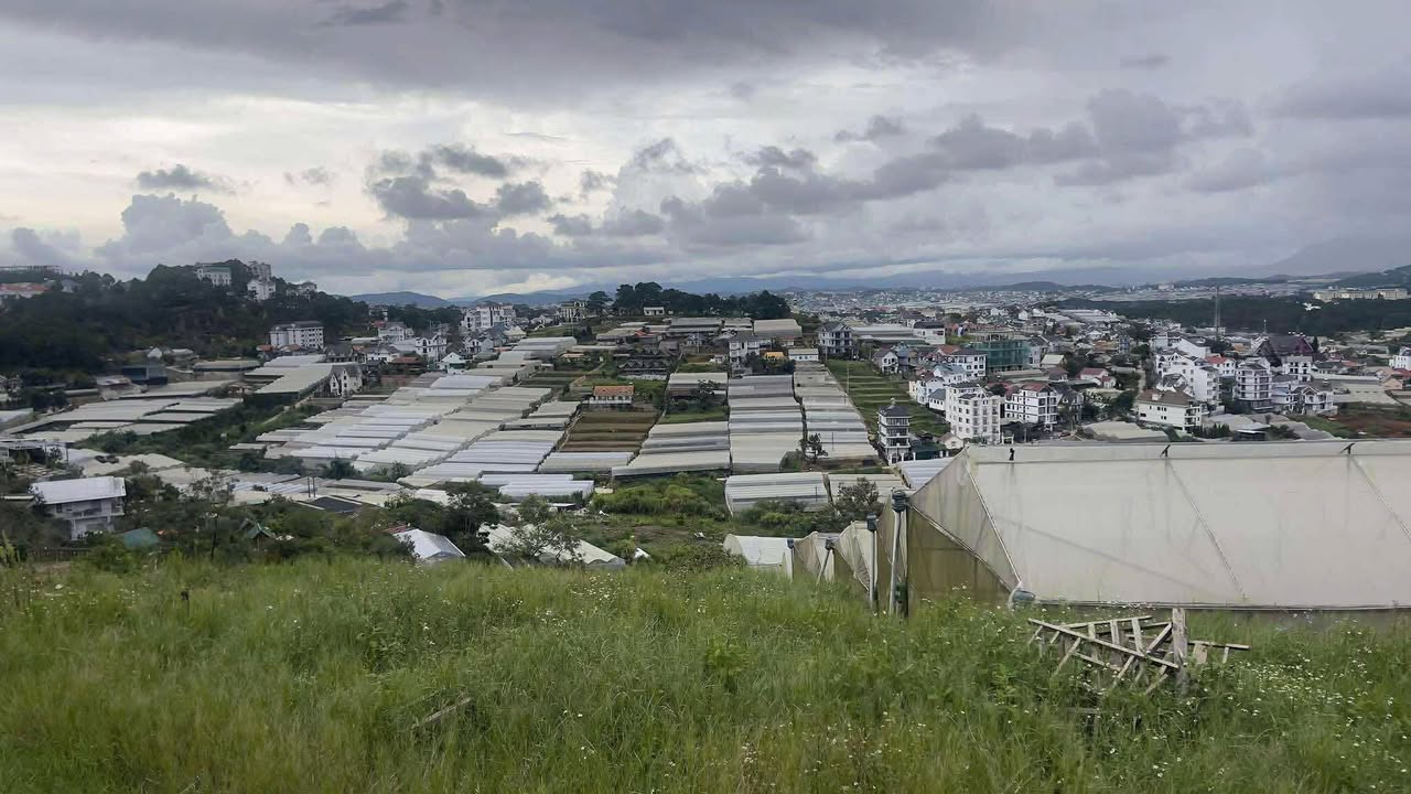 Lô đất Sào Nam, phường Xuân Trường, Đà Lạt 2409m² - View thung lũng đèn đẹp mê hồn!