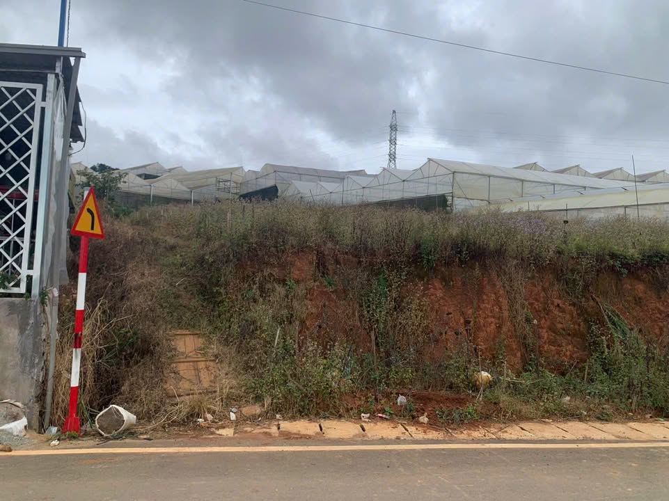 Đất nền mặt tiền 4500m² tại phường 12, Đà Lạt - Giá tốt chỉ 45 tỷ!