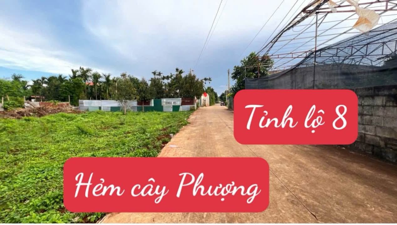 Đất thổ cư 115m² tại Cư Suê - Giá chỉ 1.25 tỷ, vị trí đẹp