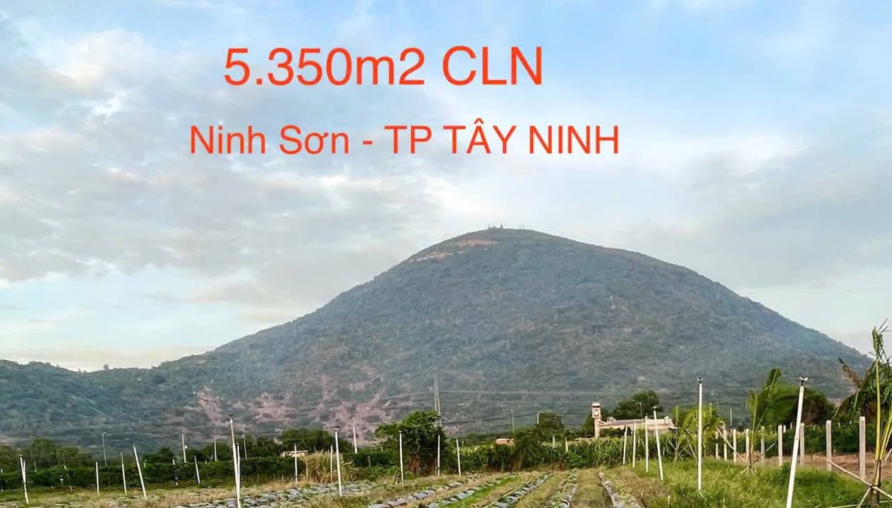 Đất nền Ninh Sơn, TP. Tây Ninh 5000m² giá 2,7 tỷ - View núi tuyệt đẹp!