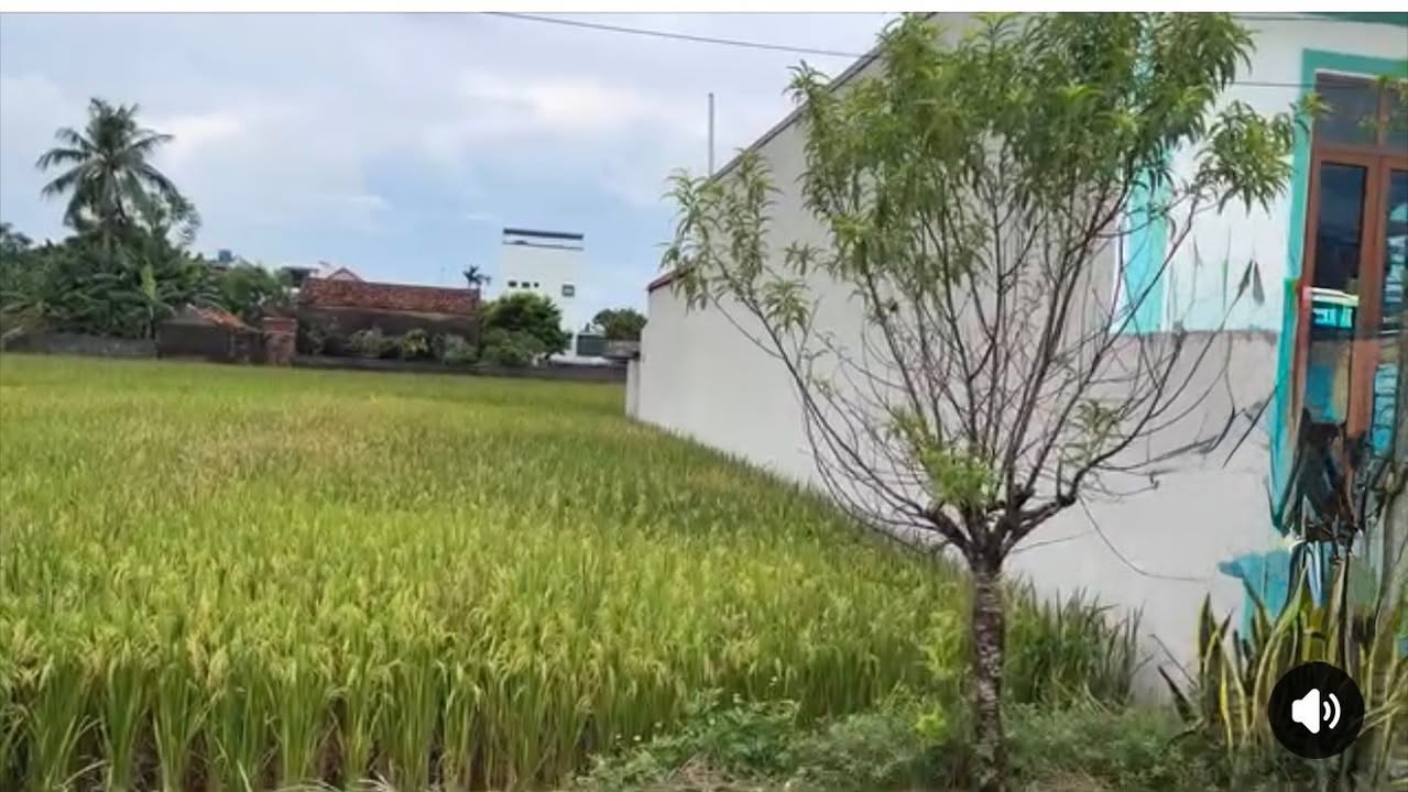 Đất nền chính chủ tại Nga Thành, Thanh Hóa 149.5m² - Đầu tư sinh lời ngay!