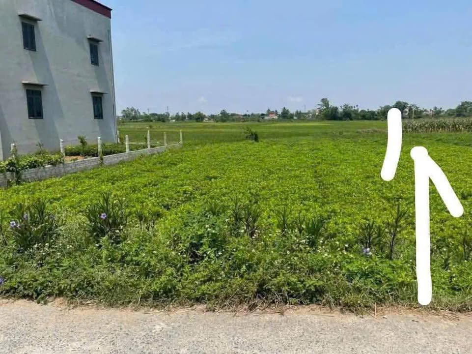 Đất nền chính chủ tại cổng làng Vân Hoàn, Nga Phượng - 100m² giá tốt