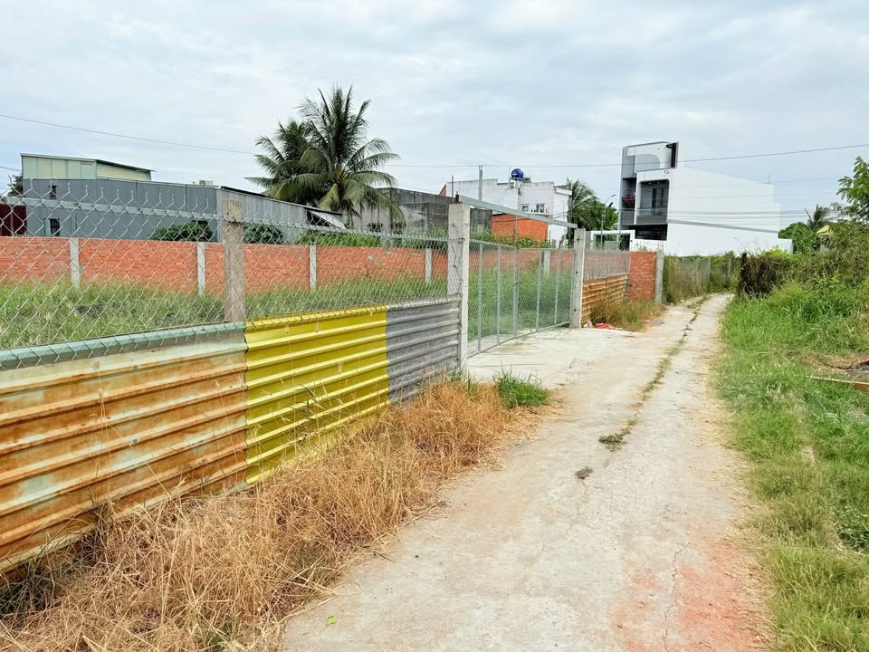 Đất thổ cư 300m² đường Đồng Tâm, Long Trạch, Cần Đước - Giá chỉ 2.2 tỷ!