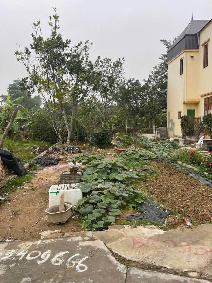 Nhà riêng Đặng Cương, An Dương 84m² giá 1.45 tỷ - Ô tô vào tận đất!