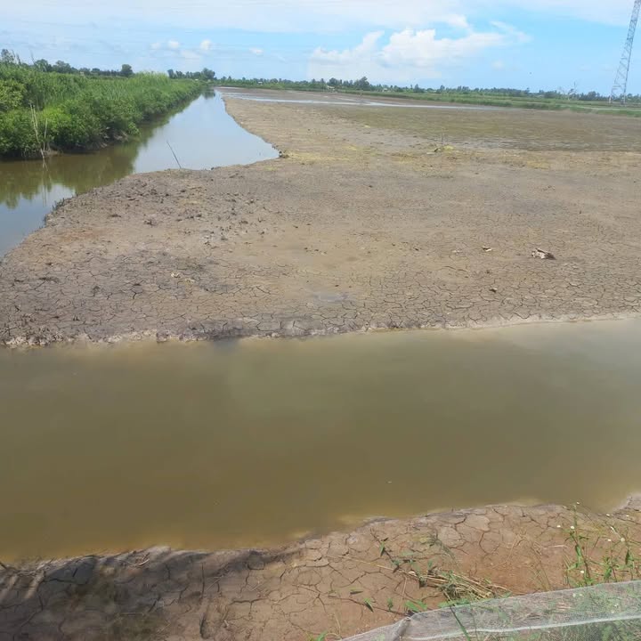 Đất nông nghiệp 7200m² Thới Bình Cà Mau giá 300 triệu - Sẵn sàng đầu tư!