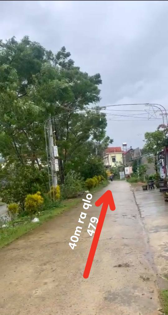 Đất nền xã Gia Lâm Ninh Bình 209m² giá 1.5 tỷ - Cơ hội đầu tư tuyệt vời!