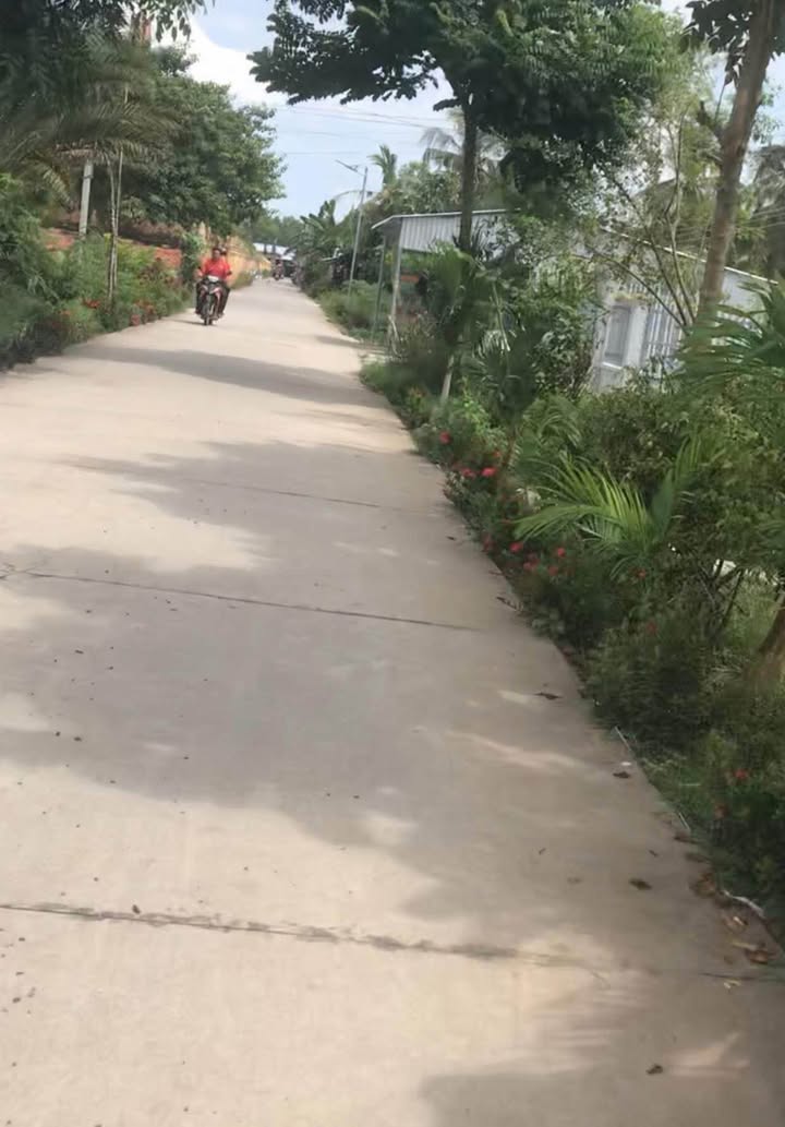 Đất Farm 32 công tại Tài Văn, Trần Đề, Sóc Trăng - Giá chỉ 3.84 tỷ