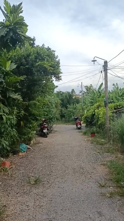 Đất vườn 287m² tại Phổ Ninh, Đức Phổ - Sổ hồng trao tay, giá thương lượng hấp dẫn!