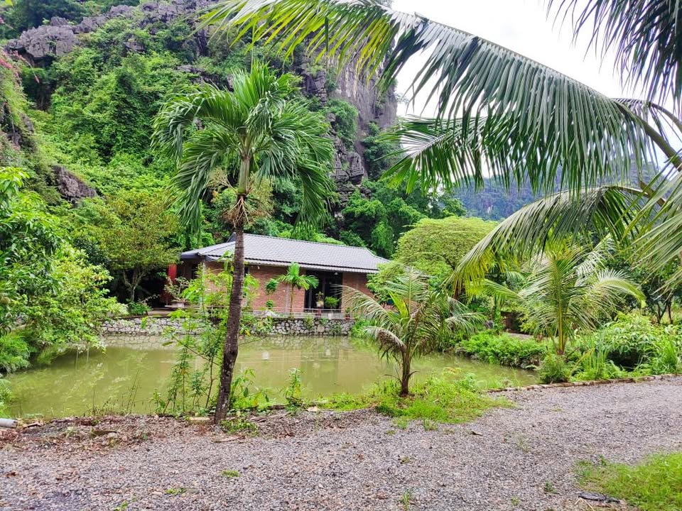 Đất nền Ninh Xuân 3000m² giá đầu tư - Xây dựng homestay lý tưởng!