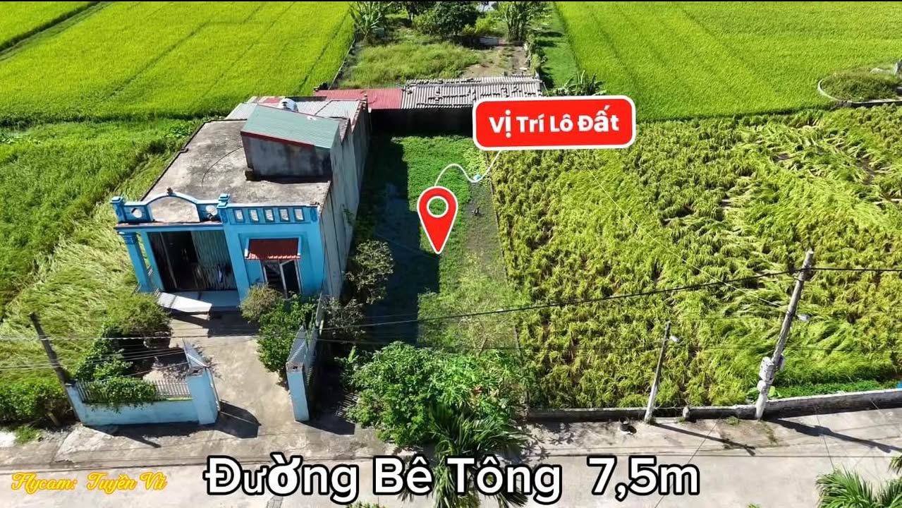 Đất nền Yên Nhân, Ninh Bình 175m² giá 1 tỷ - Bán gấp, vị trí đẹp!