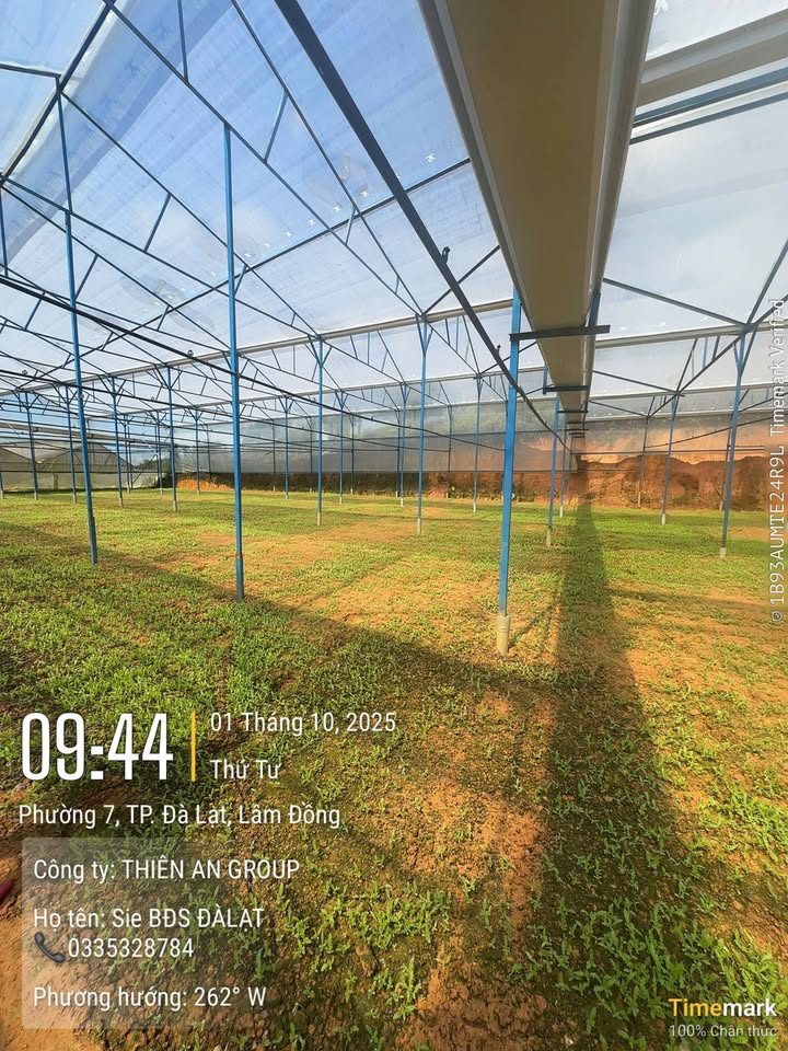 Bán đất Đường Kim Thạch, Phường Lang Biang, Đà Lạt 3212m² giá 30 tỷ - Đầu tư sinh lời tuyệt vời!