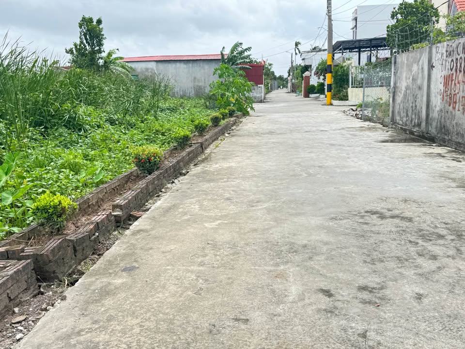 Đất nền Hòa Nghĩa Dương Kinh 366m² giá 5.49 tỷ - Sổ đỏ chính chủ, vị trí thuận lợi!