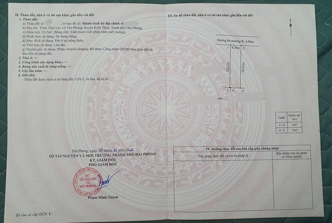 Đất nền thôn Thái Lai, Tân Phong, Kiến Thụy 82m² giá 1 tỷ - Mặt tiền 4.5m, hướng Bắc