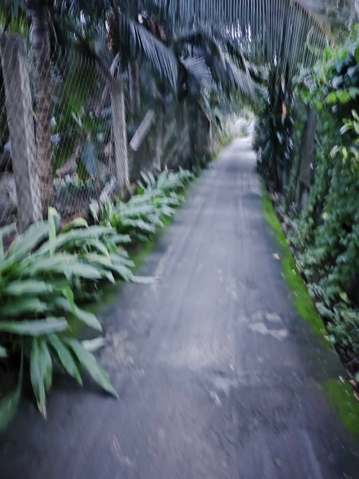 Đất nền 1000m² tại Lương Phú B, Chợ Gạo, Tiền Giang - Giá thương lượng hấp dẫn!