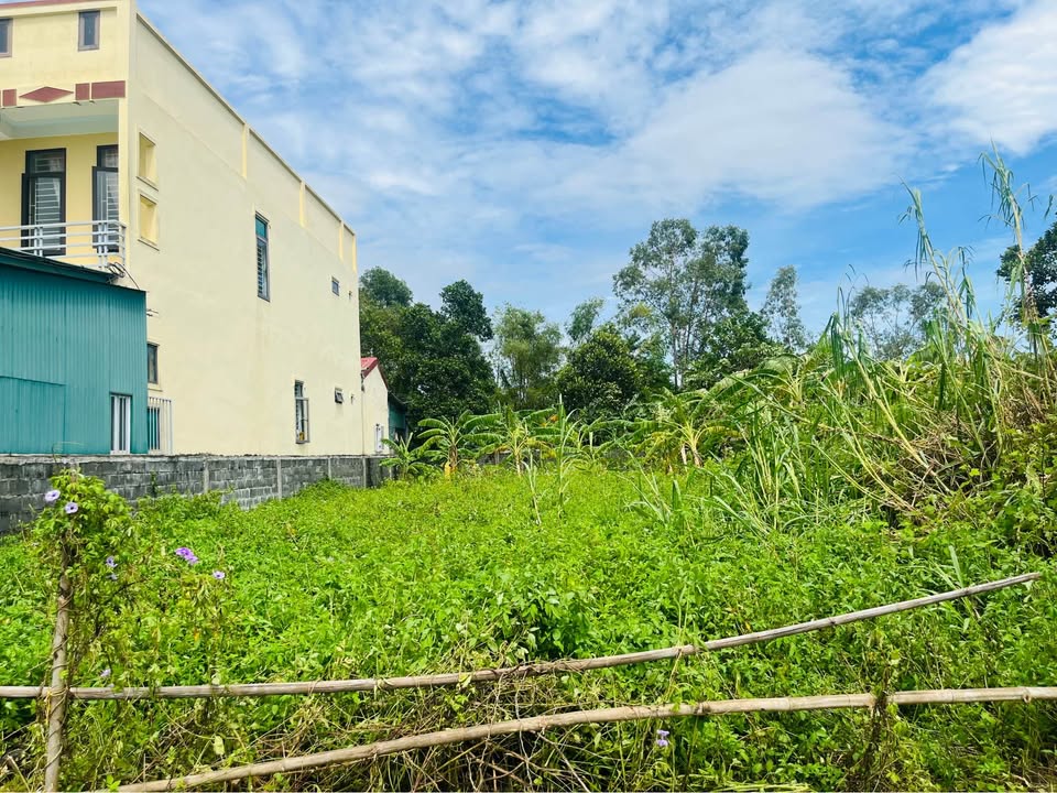 Đất thổ cư phường Bắc Nghĩa 334.6m² giá 1.9 tỷ - Cơ hội đầu tư tuyệt vời!