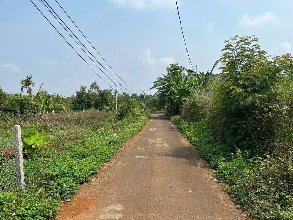 Lô đất Eatu KM11 - Tân An, 200m² giá 1.65 tỷ - Đất đẹp, vị trí thuận lợi!