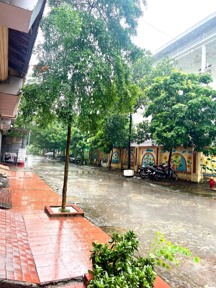 Nhà nguyên căn 50m² phường An Hưng, Hà Đông - Giá tốt, sẵn sàng vào ở!